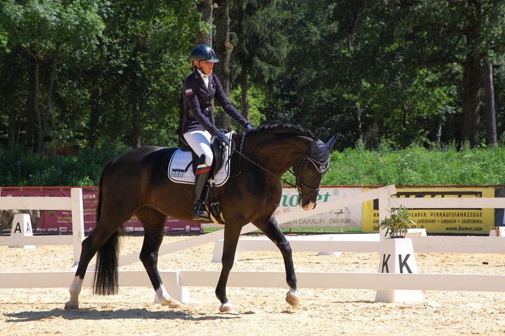 Конный спорт