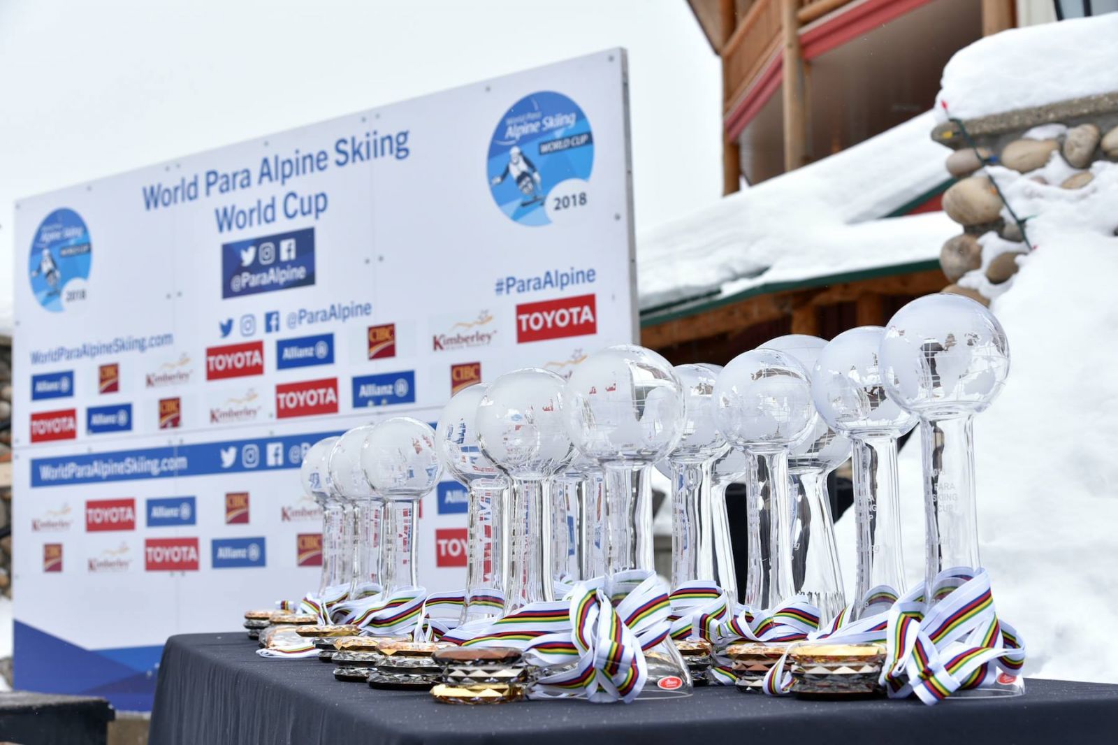 Алексей Бугаев и Мария Папулова вошли в тройки сильнейших по итогам общего зачета Кубка мира по горнолыжному спорту среди лиц с ПОДА и нарушением зрения