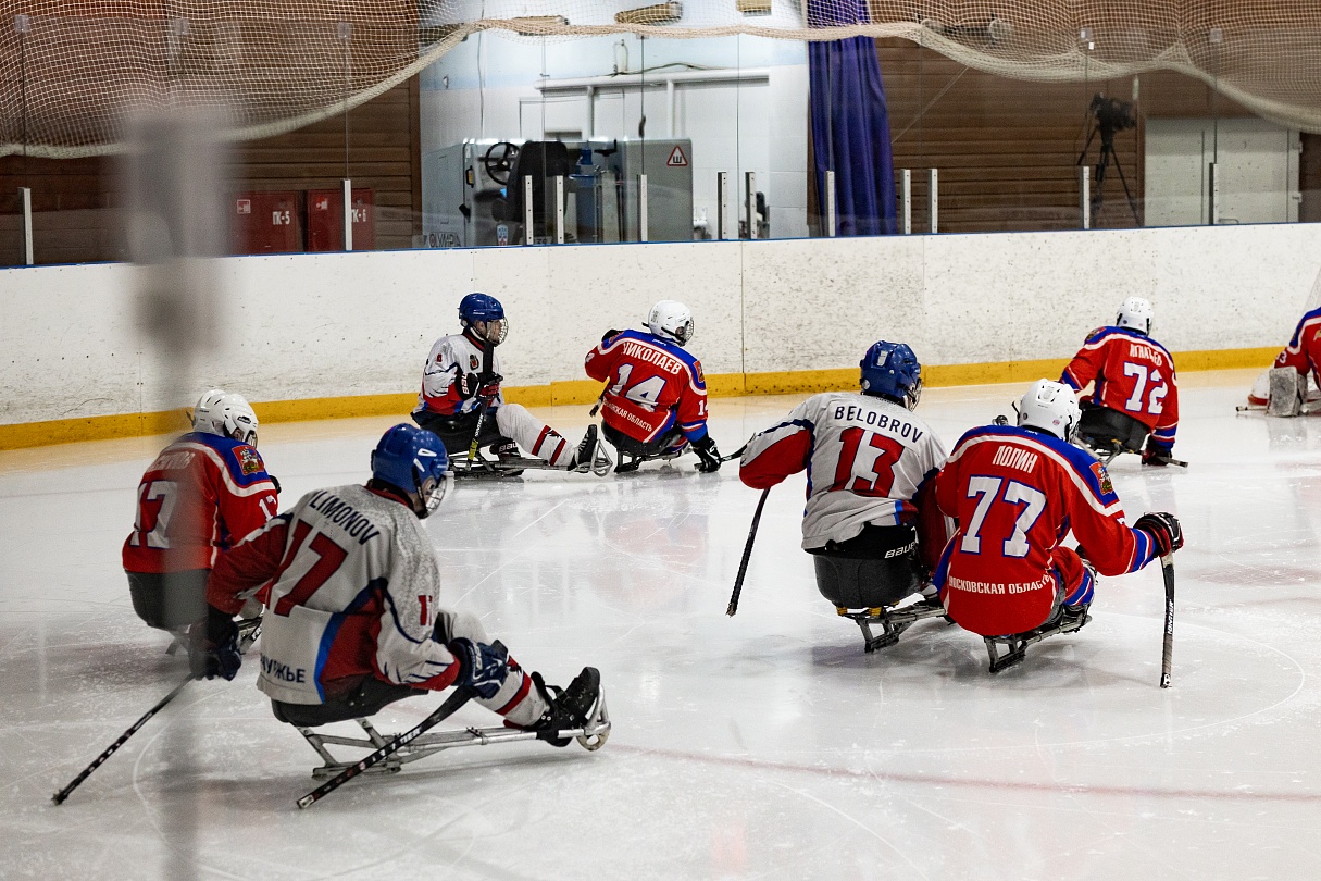 Хоккей-следж