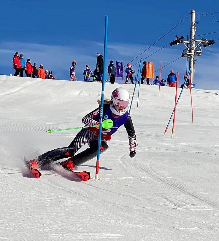 Горнолыжный спорт